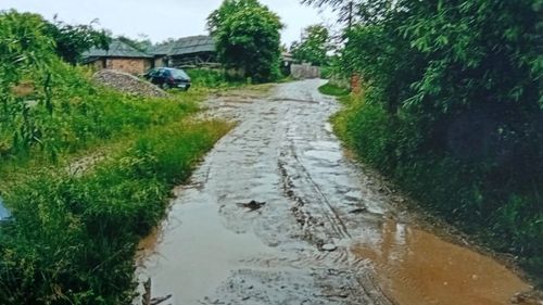 O primărie din județul Bacău, obligată de instanță să asfalteze o stradă / Un locuitor care a muncit 15 ani în Italia a dat în judecată primăria după ce nu a mai asfaltat de 40 de ani strada pe care locuiește / Decizia e definitivă