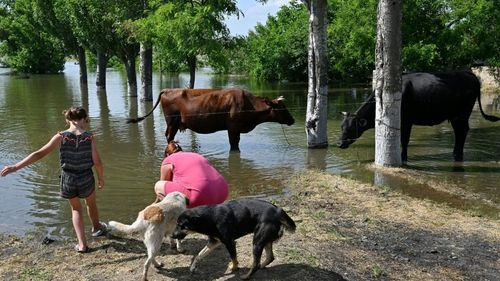 Riscul de holeră: miniștrii Mediului din Bulgaria și România denunță informațiile „fără fundament” despre litoralul Mării Negre după distrugerea barajului din Ucraina / Internetul, plin de mesaje panicarde