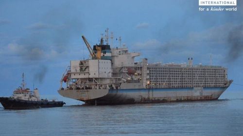 Mita în Portul Midia pentru vapoarele supraîncărcate cu oi oscilează între 2000 și 5000 de euro pentru fiecare navă. Dilemă de vameş: „Unde p**a mea să-i ascund?“ - Adevărul