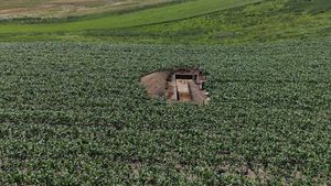 FOTO Istorie suprapusă într-un lan de porumb / Între civilizația Cucuteni și ororile celui de-al Doilea Război Mondial / Descoperiri  ale arheologilor ieșeni la Ursoaia 