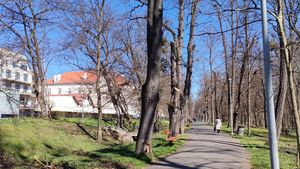 Sibiul digitalizează natura: Aplicație inovatoare pentru gestionarea spațiului verde / Fiecare arbore din oraș va avea o fișă tehnică detaliată ce poate fi accesată online