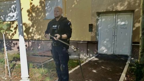 Drobeta Turnu Severin: Jandarmii au intervenit pentru îndepărtarea unei vipere din zona unui bloc