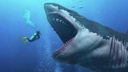 STUDIU „Cură de slăbire” pentru rechinul monstruos Megalodon / Creatura era mai „subțire” decât a fost portretizată până în prezent