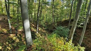 Harghita: Aproximativ 70% din totalul de 2.600 kilometri de trasee turistice ale judeţului, digitalizate de Salvamont / Șeful salvatorilor: Nu mai trebuie să mergem după oameni pierduţi