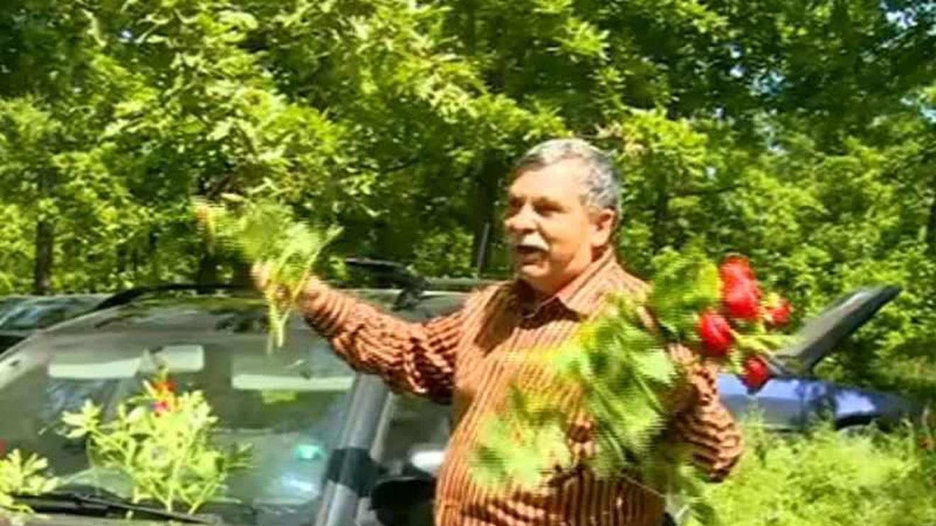 Parlamentarii vor ca ONG-urile să nu mai poată administra ariile protejate. Activist de mediu: "miza din spatele lor e tăierea pădurilor și dezvoltările imobiliare"