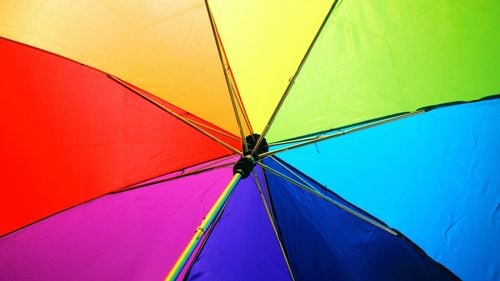 Deputații ruși au adoptat legea împotriva persoanelor transsexuale