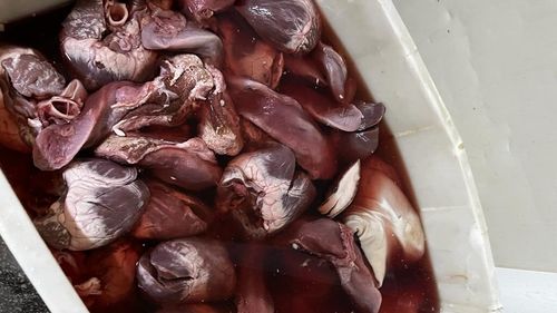 FOTO Ce a găsit Protecția Consumatorilor în Gorj, unde PNL susține că ANPC face abuzuri și vrea să închidă locații din ”motive superficiale”/ Apel la Ministerul Economiei/ Reacția ANPC