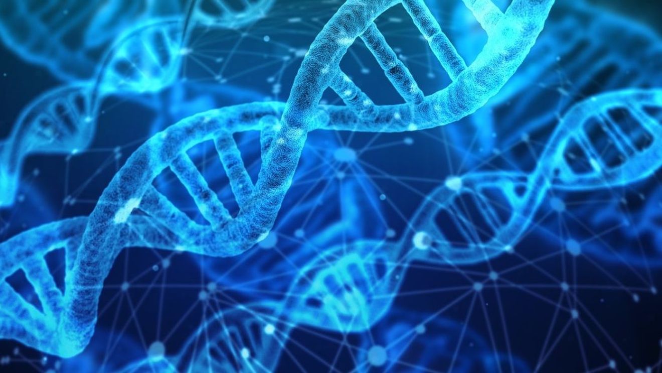 STUDIU Genetica, o altă „cheie” a inegalităţii observate în rândul pacienţilor cu COVID-19