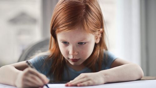 Legea referitoare la tichete educaţionale pentru plata serviciilor “Şcoală după şcoală” a fost promulgată