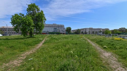 Primăria București va solicita Guvernului un teren de două hectare pentru amenajarea unor spaţii verzi în Sectorul 5
