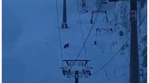 Instalaţiile de transport pe cablu care deservesc partea superioară a domeniului schiabil din Poiana Braşov, oprite din cauza vântului puternic