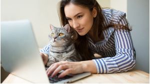 De ce pisicile adoră să stea pe tastatură: Explicația adorabilă care te va face să zâmbești