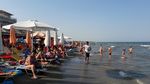 Grecia a instalat bariere plutitoare pentru a proteja înotătorii de peștele-balon argintiu, o specie invazivă și extrem de toxică