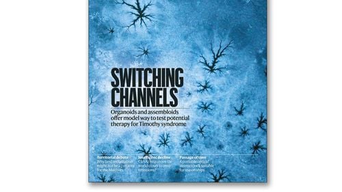 Omul de știință Sergiu Pașca de la Universitatea Stanford - printre autorii unei cercetări prezentate pe  prima pagină a revistei Nature