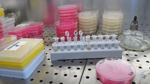 Sanofi începe testele clinice pentru cel de-al doilea vaccin anti-COVID-19, bazat pe ARN mesager