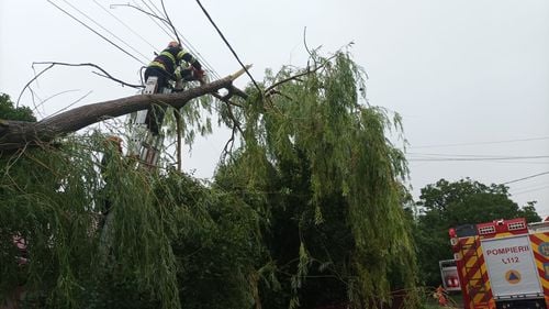 Copaci doborâţi de rafalele de vânt, şi inundaţii, în mai  multe localităţi din Argeș, în urma furtunii / Cel mai afectat este municipiul Piteşti