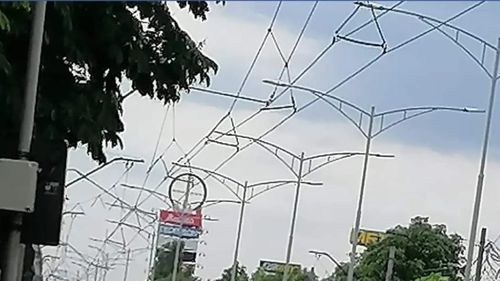 ISU București-Ilfov, după furtuna de marţi după-amiază: 12 autoturisme au fost afectate în Capitală şi unul în judeţul Ilfov / 25 copaci au căzut pe carosabil şi autoturisme