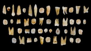 Analiza ADN a unor dinți descoperiți într-o peșteră din China răstoarnă ultimele teorii din 2015 despre evoluția oamenirii