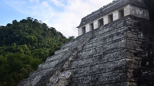 Un cercetător a descoperit întâmplător un oraș pierdut în jungla din Mexic