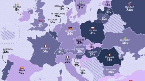 România este țara din UE cu cele mai multe pisici pe gospodărie și pe locul 3 la câini