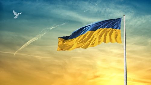 PSD cere clarificarea urgentă a problemei ce privește dubla cetăţenie a românilor din Ucraina