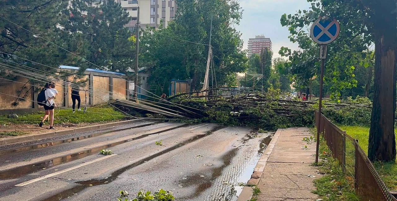 Live FOTO VIDEO | Haos în București după potop: Stația de metrou Piața Victoriei 2, închisă miercuri dimineață / Trasee schimbate în transportul în comun / Pasaje rutiere, străzi și stații de metrou inundate, sute de copaci smulși, aproape 1000 de intervenții ISU în codul roșu de vijelii care a măturat Bucureștiul