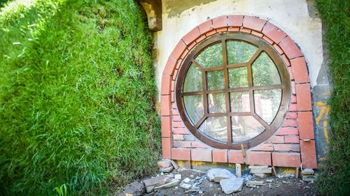 ”Casa hobbiților”, recreată la marginea Sibiului / ”Nici modelul din Noua Zeelandă, creat în urma filmului, nu este atât de detaliat” / ”Îmi doresc ca cine vine în vizită să vină la mine acasă, eu locuiesc aici, nu te duci ca la muzeu”