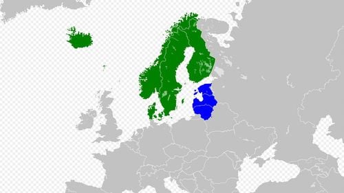 Declarație comună a țărilor nordice și baltice: „Vom continua să înarmăm Ucraina”