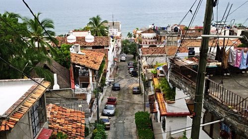 Zece traficanți de droguri mexicani, implicați în crimele dintr-o fermă din Jalisco, au primit câte 141 de ani de închisoare fiecare