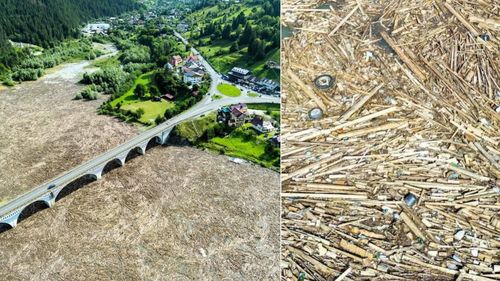 EXCLUSIV Broșteni, o economie dependentă de pădure. Localitatea din Suceava devastată de inundațiile din iulie 2025 se hrănește aproape complet din industria lemnului