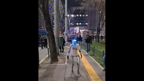 VIDEO Care e treaba cu robotul care a apărut surprinzător în weekend la mitingul pro-european din București / Jandarmeria a cerut unui bărbat „documentele” pentru robot