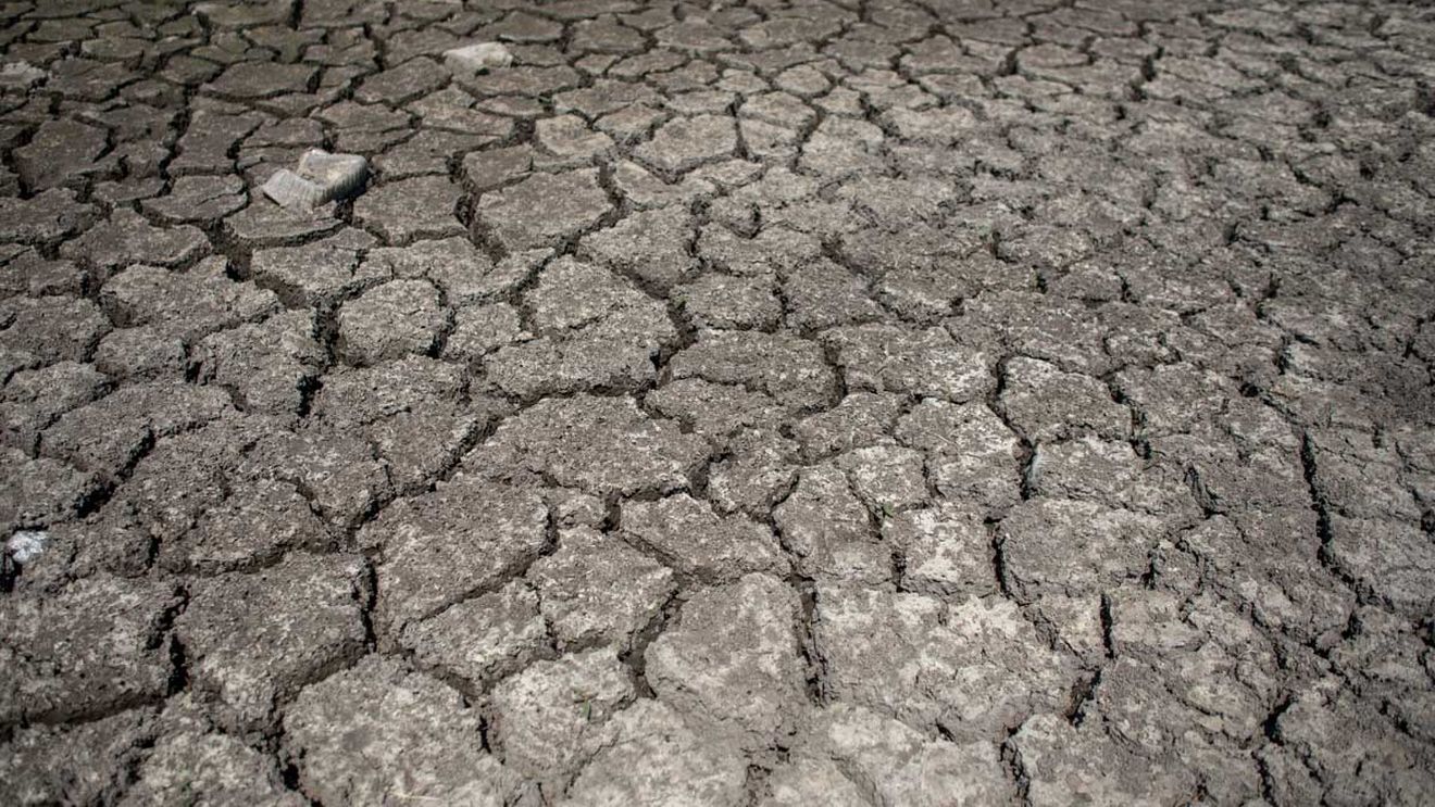 Vremea în România: Temperaturi peste cele normale până la jumătatea lunii februarie, seceta continuă