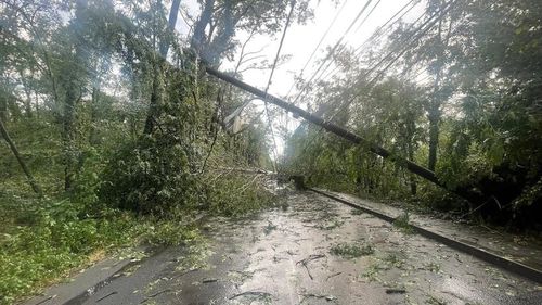 Cartierul Greenfield din București, blocat de copaci şi stâlpi căzuţi în urma furtunii / E singurul drum de acces în cartier