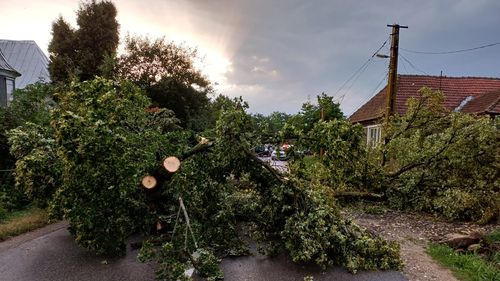 UPDATE Străzi inundate și blocate, copaci smulși din rădăcini, acoperișuri avariate, o locuință lovită de fulger și chiar o persoană rănită de o fereastră spartă, în urma furtunii violente care s-a abătut în partea de nord-vest a țării