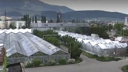 Industria înfloritoare care a fost distrusă în România. Implicația „Reginei serelor”, o femeie cu conexiuni politice