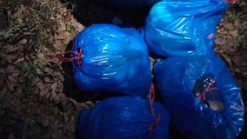 Peste 36 de tone de deşeuri, oprite la intrarea în România prin punctele de frontieră Borş şi Nădlac