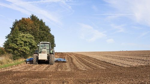Ministrul Agriculturii cere și el, după fermieri, revizuirea strategiei Farm to Fork a Comisiei Europene: Suntem una dintre ţările care susţinem să cultivăm fiecare metru pătrat de pământ