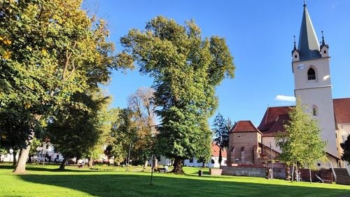 Metoda „Accidentul” continuă să facă victime / O bătrână din Mureş a dat 10.000 de euro unei persoane care a pretins că e cadru medical şi trebuie să-i ducă la spital cu elicopterul fiica