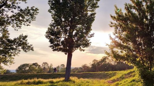 METEO: Căldură, nopţi tropicale şi episoade de instabilitate atmosferică, în următoarele două săptămâni / Prognoza pe regiuni