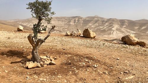 Fitilele unor lămpi cu ulei, vechi de 4.000 de ani, descoperite în Israel