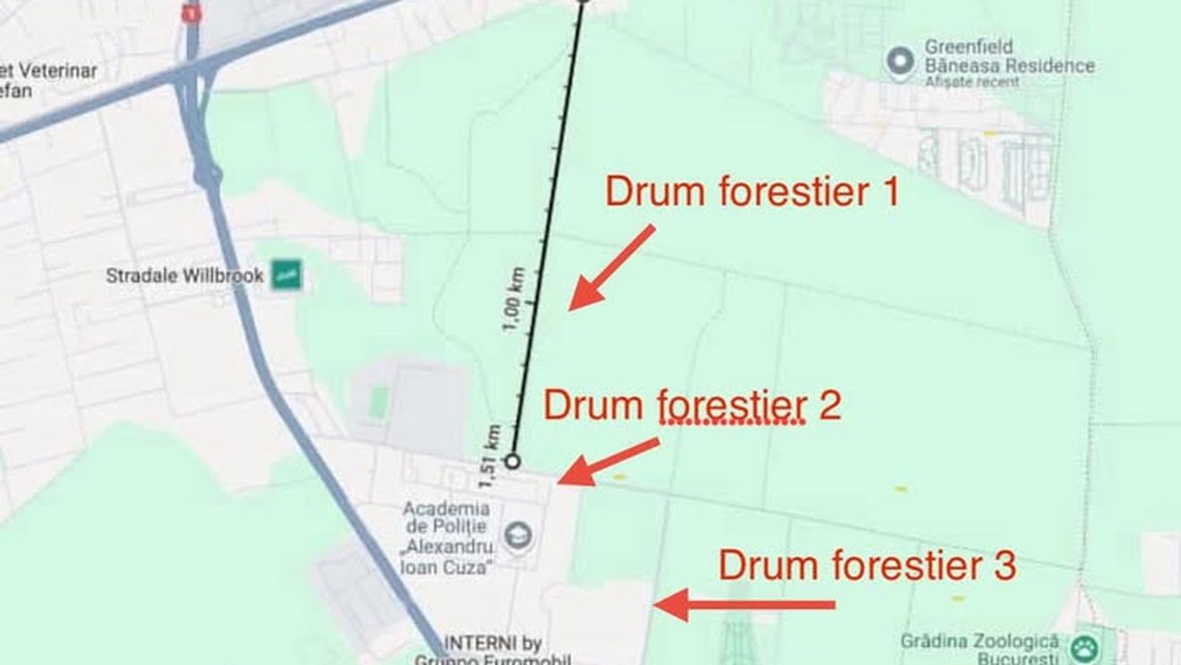 „Directorii din direcțiile silvice pot fi demiși” / Ministra USR Diana Buzoianu cere demiteri după victoria în primă instanță în cazul deschiderii accesului auto pe drumul forestier din Pădurea Băneasa / Romsilva a semnat un contract de peaj cu Federația Greenfield fără consultare publică și fără avizul Ministerului Mediului