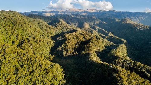 Trump suspendă sancţiunile vamale împotriva Columbiei, după un acord privind migranţii / SUA intenționau să impună și o interdicţie de intrare şi o revocare a vizelor pentru oficialii guvernului columbian