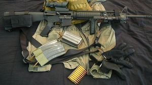 Suedia restricţionează accesul la arme semiautomate pentru vânătoare