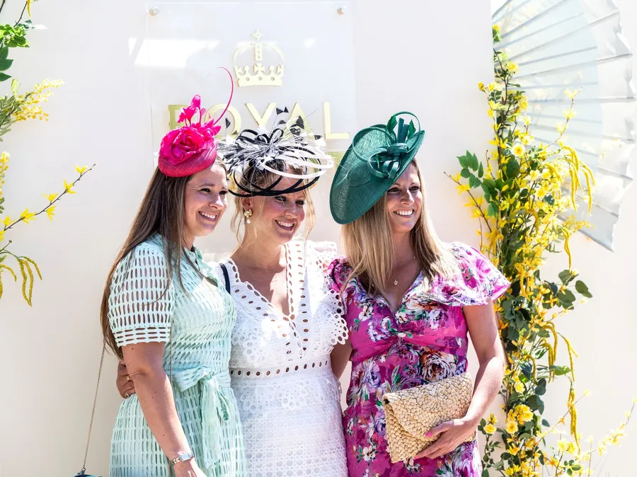 royal ascot palarii