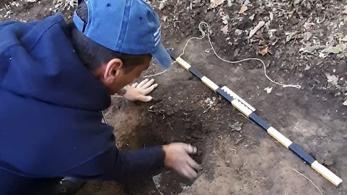 Tezaur dacic, descoperit într-o pădure din județul Alba cu ajutorul unui căutător de comori, după o investigație pornită de la o postare în mediul online