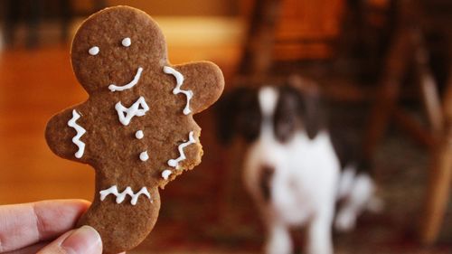 România, printre cei mai mari producători de turtă dulce din Uniunea Europeană/ Germania este liderul detașat al clasamentului