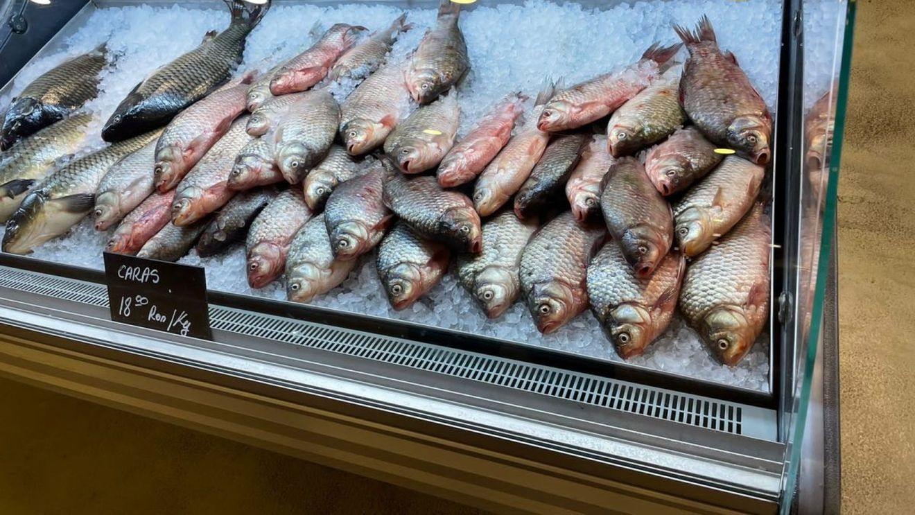 Mall Veranda şi comercianţii din Piaţa Obor din Bucureşti, verificaţi de ANPC: Amenzi de 140.000 de lei după ce au fost găsite produse expirate, peşte ţinut la temperatura mediului, spaţii frigorifice murdare