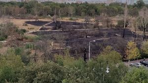 Nicușor Dan, mesaj către dezvoltatorii imobiliari, în contextul tăierilor abuzive de copaci în Parcul IOR: Dacă va defrișa spațiul vegetal pe 10 ha, o să-i dăm o amendă de 350 mil de euro / Orice proprietar să știe că nu va construi pe spațiul verde