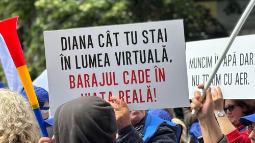 Ministra Mediului, Diana Buzoianu (USR), despre protestul Sindicatului Mureşul din Apele Române: Sunt convinsă că acest sindicat a fost în buzunarul unor grupuri de interese