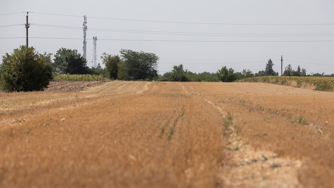 Ungaria: Guvernul a majorat de patru ori compensaţia acordată fermierilor, pentru a-i ajuta să compenseze pierderile suferite anul trecut, din cauza secetei extreme,